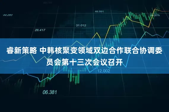 睿新策略 中韩核聚变领域双边合作联合协调委员会第十三次会议召开
