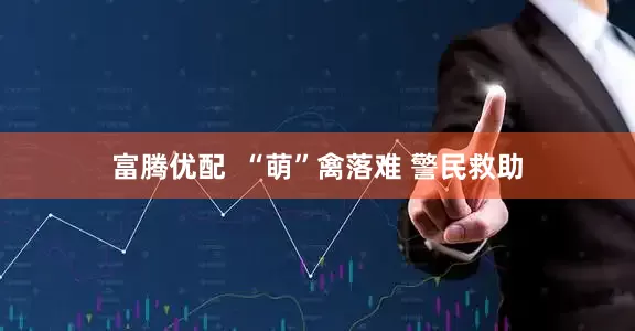 富腾优配  “萌”禽落难 警民救助
